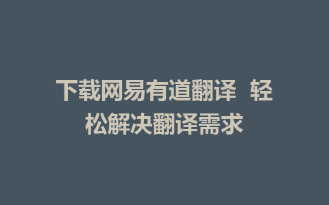 下载网易有道翻译  轻松解决翻译需求