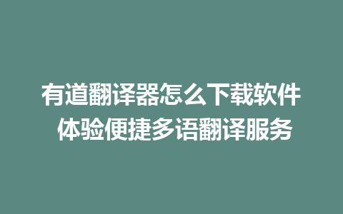 有道翻译器怎么下载软件 体验便捷多语翻译服务