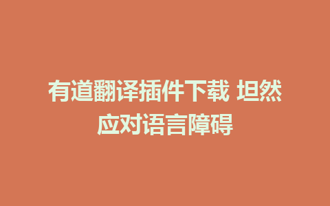 有道翻译插件下载 坦然应对语言障碍