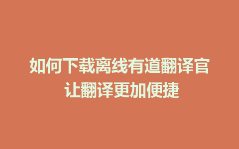 如何下载离线有道翻译官 让翻译更加便捷