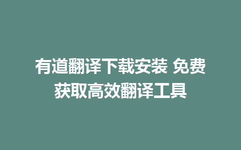 有道翻译下载安装 免费获取高效翻译工具