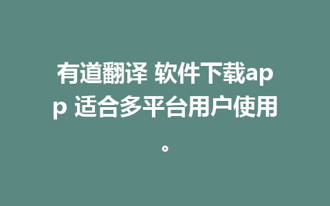 有道翻译 软件下载app 适合多平台用户使用。