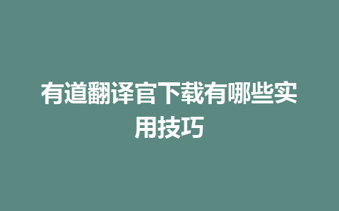 有道翻译官下载有哪些实用技巧