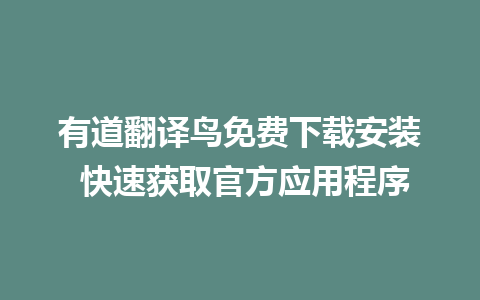 有道翻译鸟免费下载安装 快速获取官方应用程序