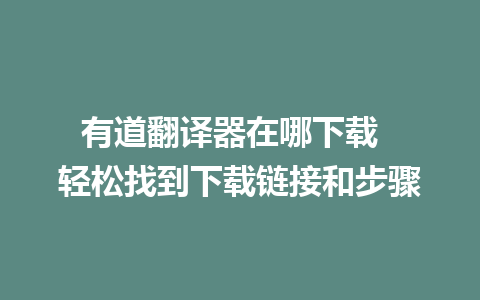 有道翻译器在哪下载  轻松找到下载链接和步骤