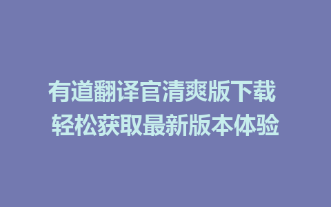 有道翻译官清爽版下载 轻松获取最新版本体验