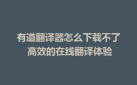 有道翻译器怎么下载不了 高效的在线翻译体验