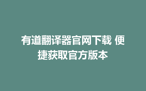 有道翻译器官网下载 便捷获取官方版本