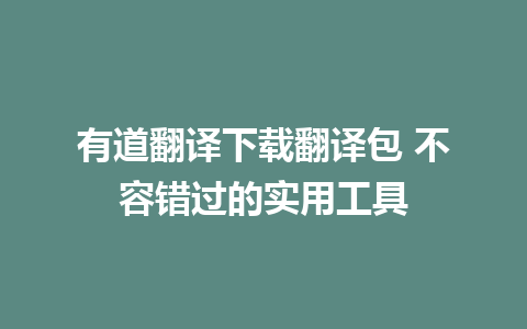 有道翻译下载翻译包 不容错过的实用工具