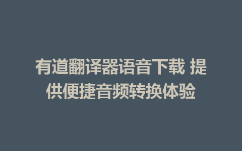 有道翻译器语音下载 提供便捷音频转换体验