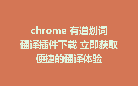 chrome 有道划词翻译插件下载 立即获取便捷的翻译体验