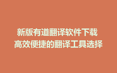 新版有道翻译软件下载 高效便捷的翻译工具选择