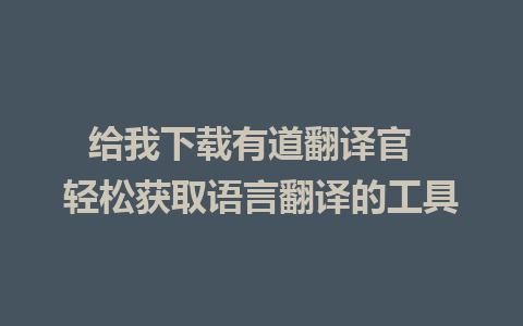 给我下载有道翻译官  轻松获取语言翻译的工具