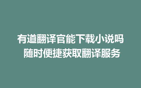 有道翻译官能下载小说吗 随时便捷获取翻译服务