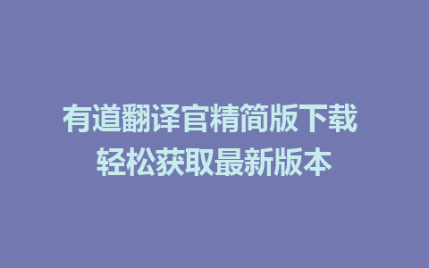 有道翻译官精简版下载 轻松获取最新版本