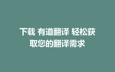 下载 有道翻译 轻松获取您的翻译需求