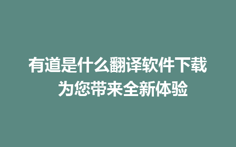 有道是什么翻译软件下载  为您带来全新体验